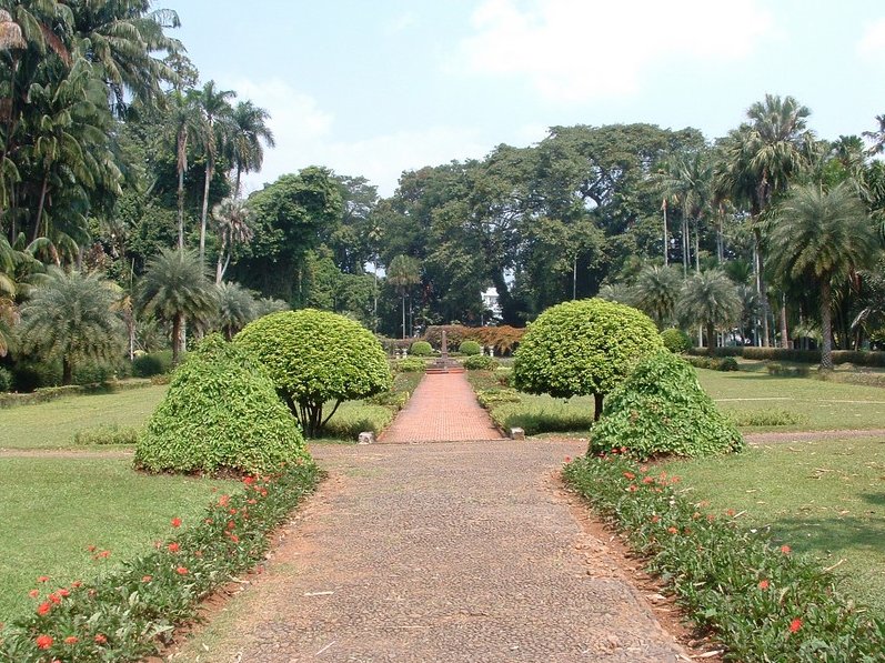 Bogor Botanical Garden Indonesia Photograph