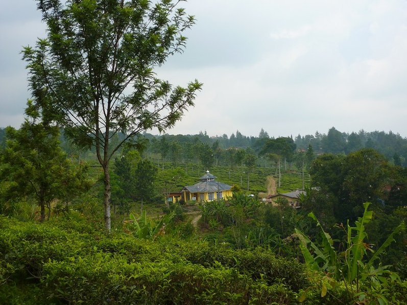 Photo Bogor Botanical Garden driven