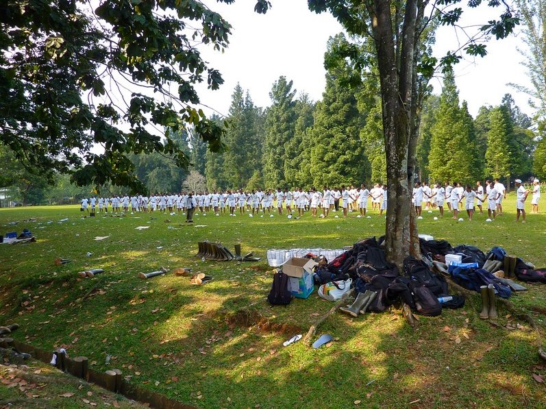 Bogor Botanical Garden Indonesia Story Sharing