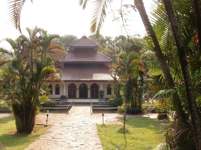 Photo Bogor Botanical Garden beautiful