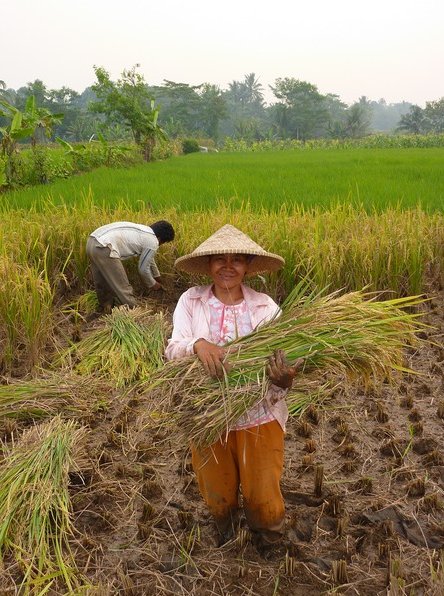   Bogor Indonesia Travel Blog