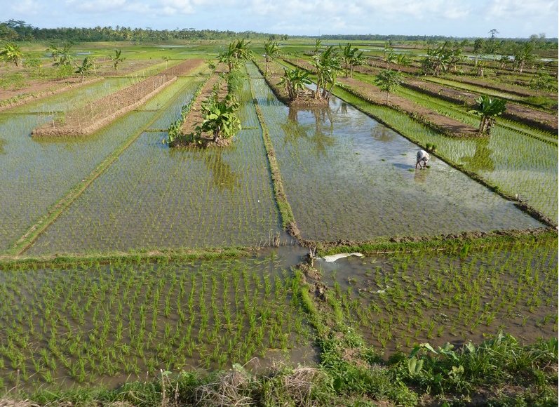 Yogyakarta Indonesia 