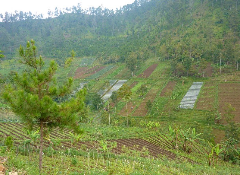 Candi Sukuh Indonesia Mt Lawu Diary Photo