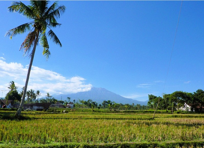 Glenmore plantation in Kalibaru Indonesia Trip Review