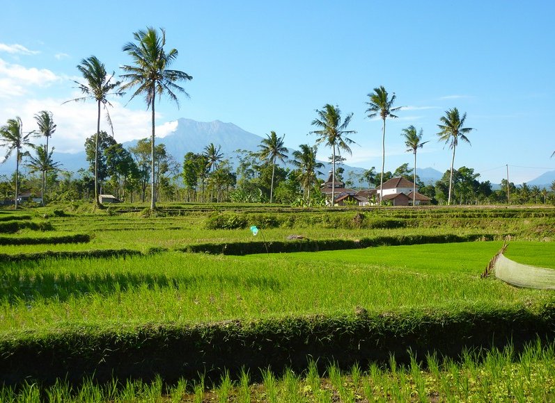 Photo Glenmore plantation in Kalibaru shopping