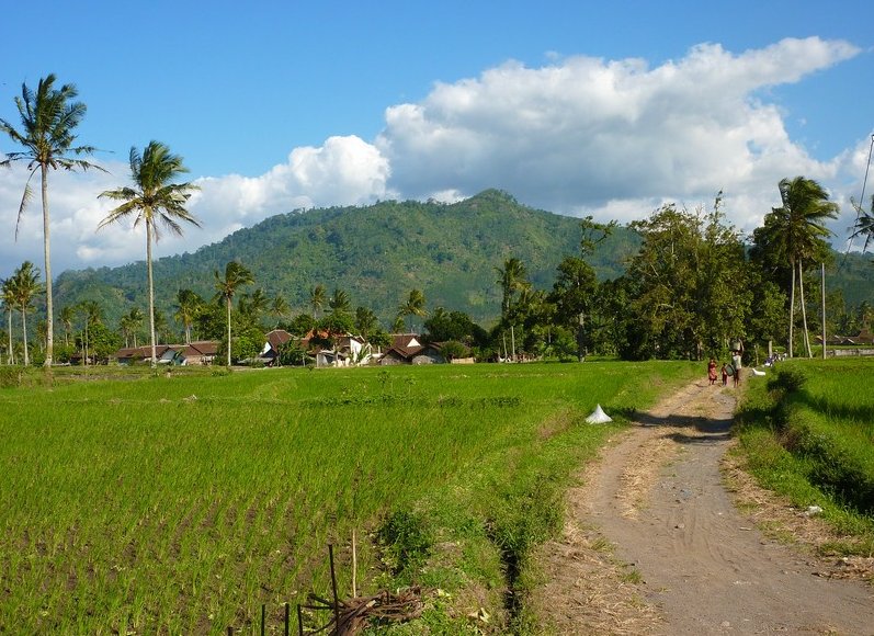 Glenmore plantation in Kalibaru Indonesia Travel Blog