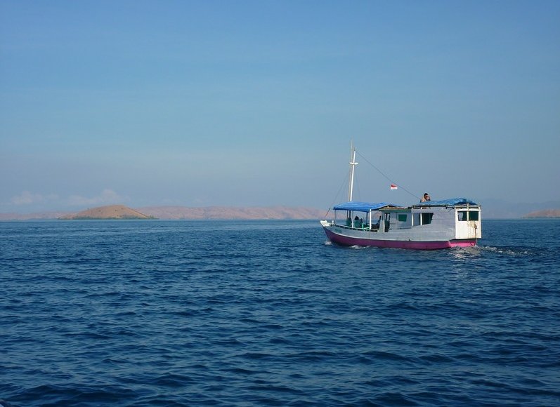 Komodo dragon habitat on Rinca island Indonesia Diary Picture