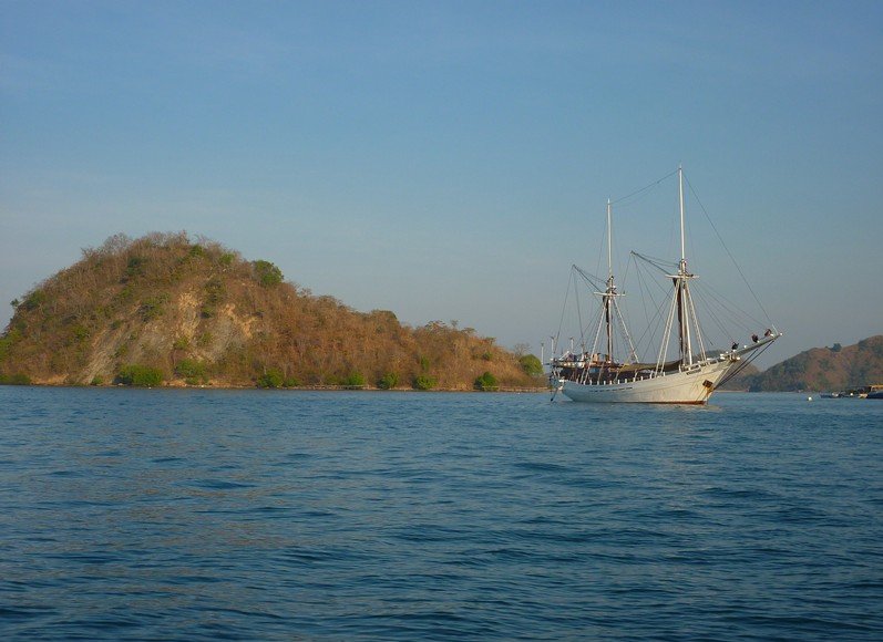 Komodo dragon habitat on Rinca island Indonesia Diary Photography