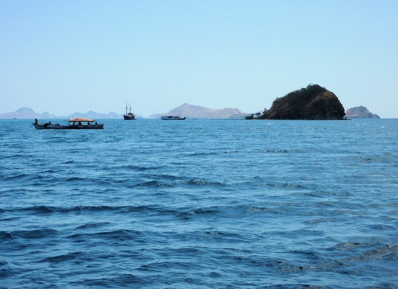 Komodo dragon habitat on Rinca island Indonesia Vacation Sharing