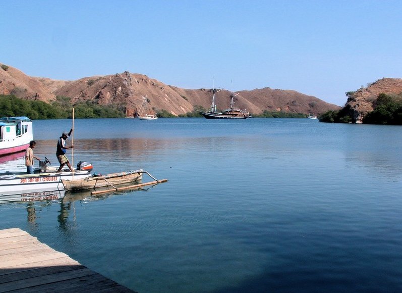 Komodo dragon habitat on Rinca island Indonesia Travel Sharing