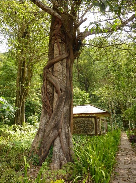 Bedugul Indonesia 