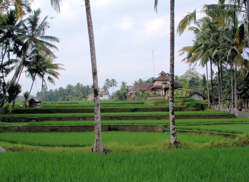 Best hotel in Ubud Bali Indonesia Diary Photography