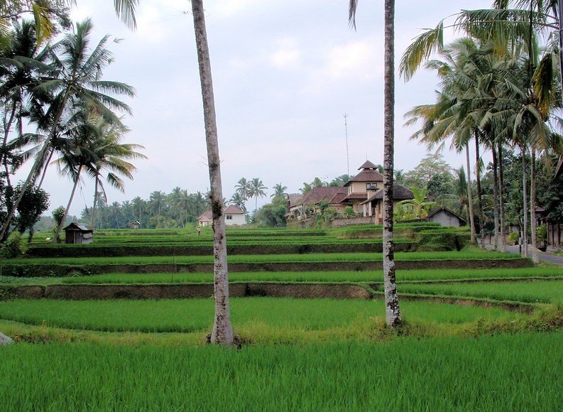 Photo Best hotel in Ubud Bali beautiful