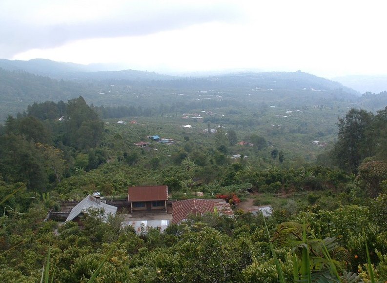 Best hotel in Ubud Bali Indonesia Travel Sharing