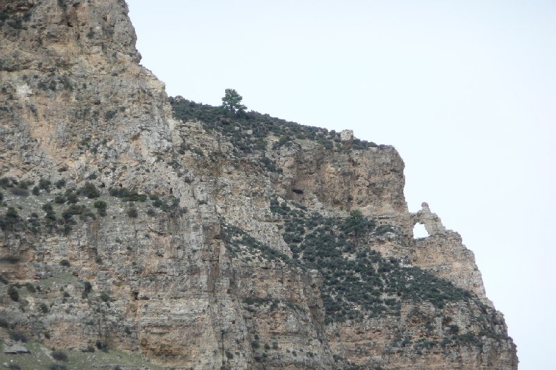 Photo Bighorn National Forest Buffalo WY headed