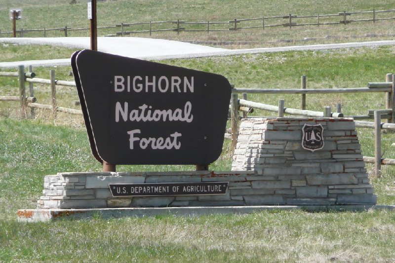 Photo Bighorn National Forest Buffalo WY several