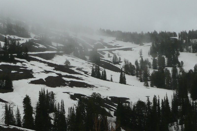   Yellowstone National Park United States Vacation Experience