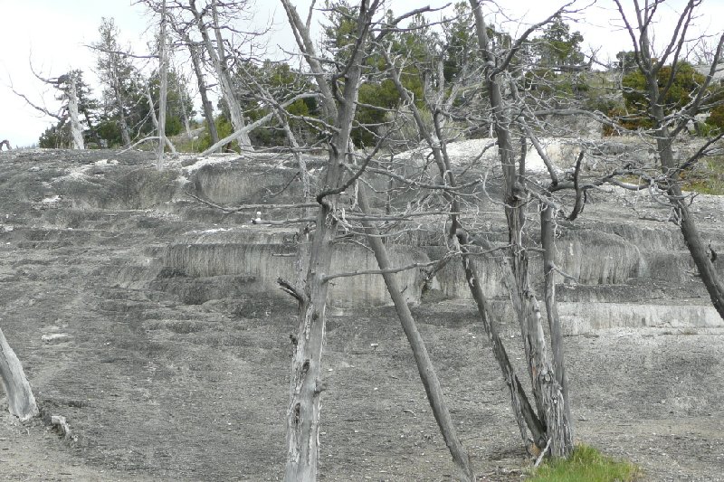   Yellowstone National Park United States Travel Gallery