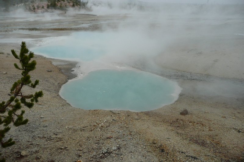   Yellowstone National Park United States Travel Diary