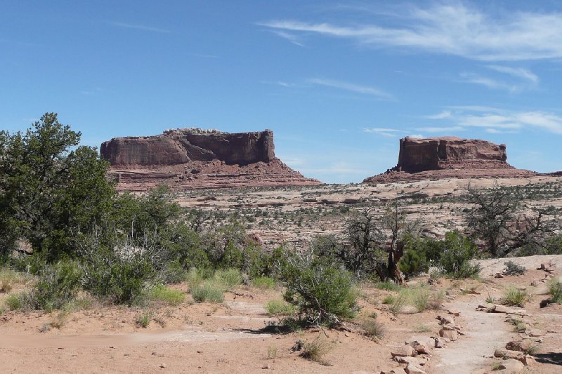 Photo Dead Horse Point State Park running