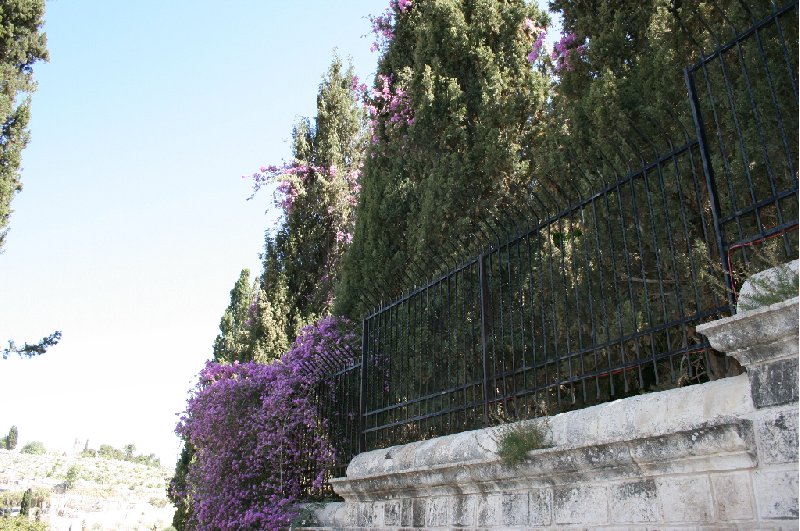 Photo Walking tours in Jerusalem arranged