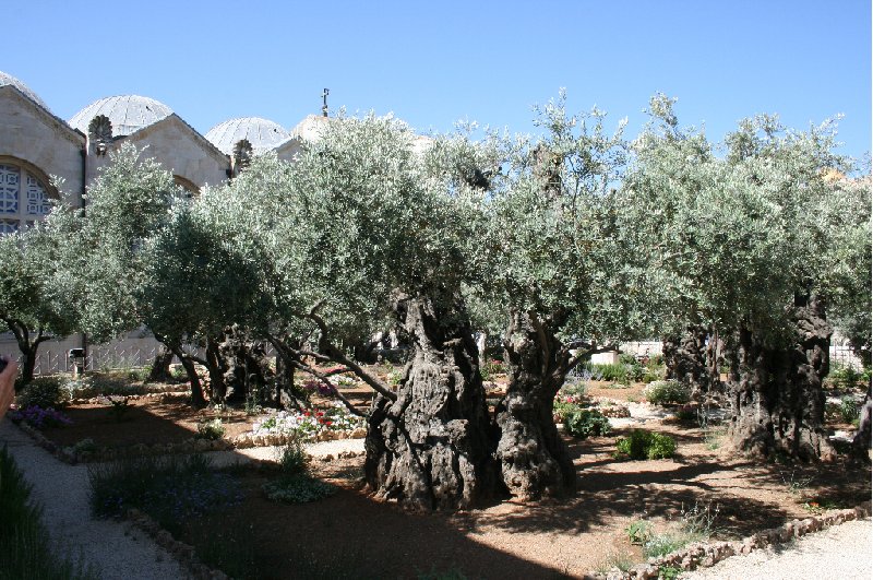 Photo Walking tours in Jerusalem Kapernaum