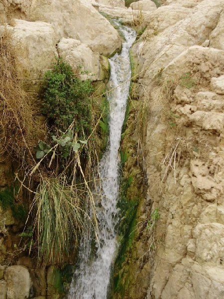   Ein Gedi Israel Travel Package