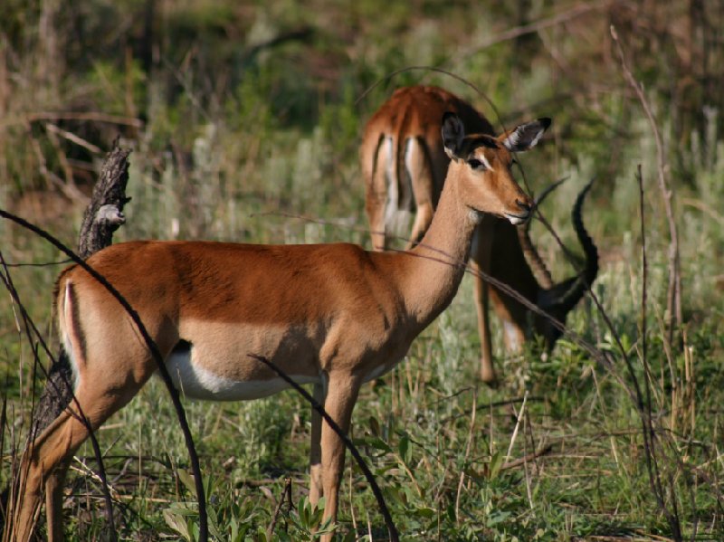   Nelspruit South Africa Holiday Adventure