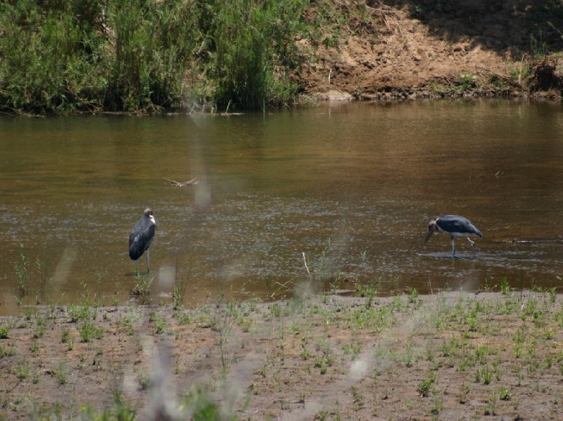 Photo Kruger National Park really