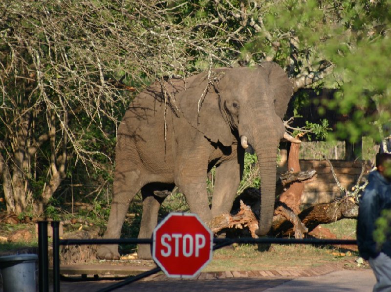 Photo Kruger National Park people