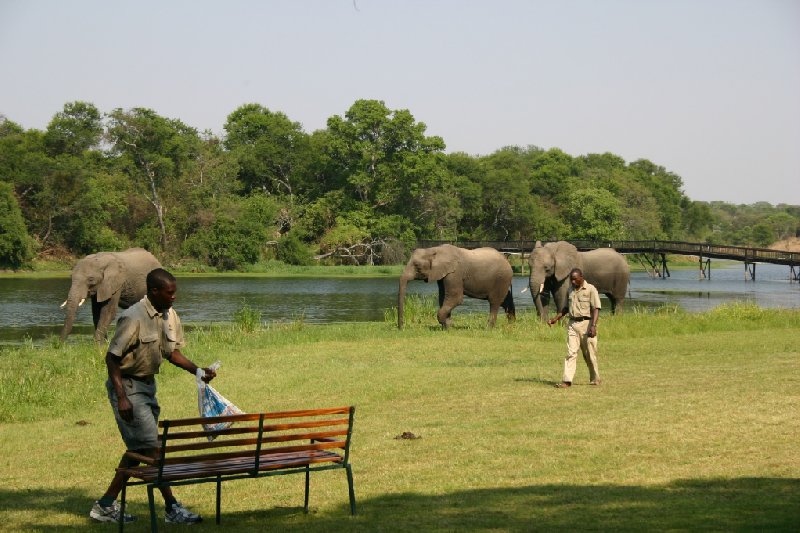 Photo Gweru Antelope Park center