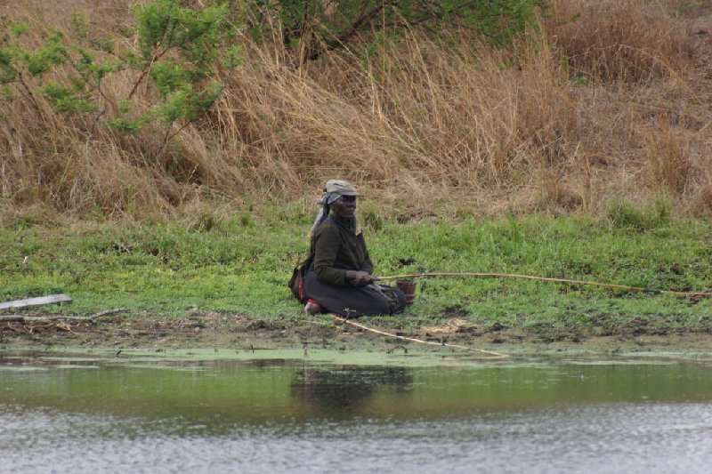 Gweru Antelope Park Zimbabwe Adventure