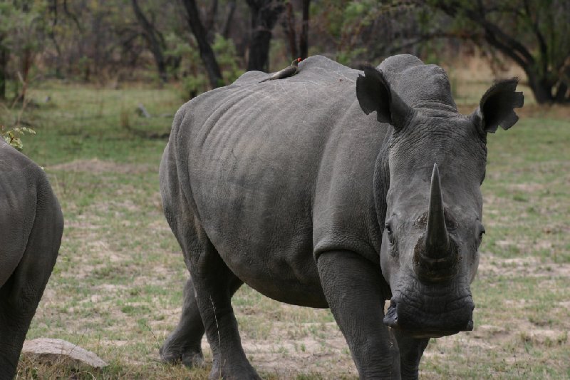 Bulawayo Zimbabwe 