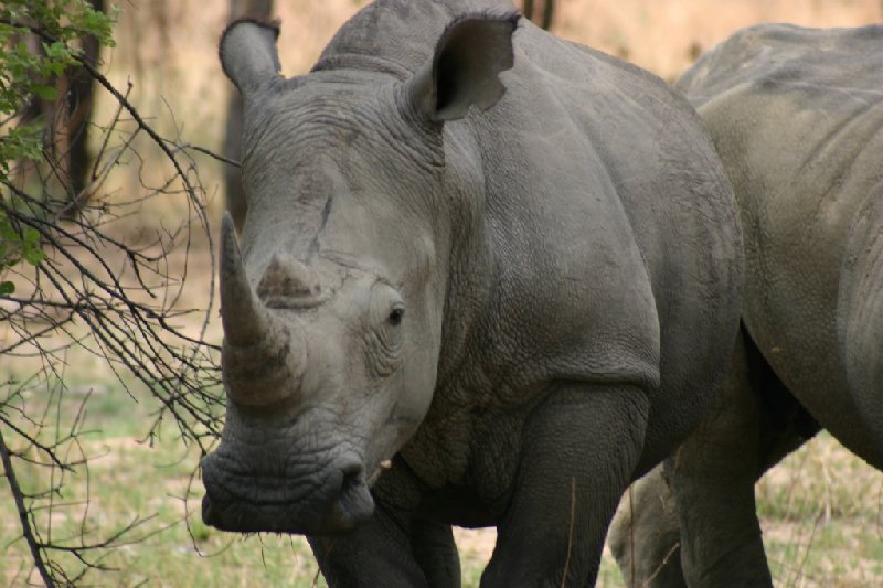 Matobo National Park Zimbabwe Bulawayo Vacation Photos