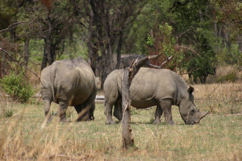 Matobo National Park Zimbabwe Bulawayo Album Photographs