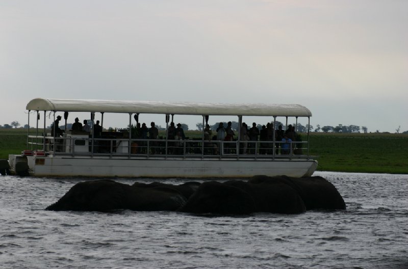 Chobe National Park Botswana Kasane Story Sharing