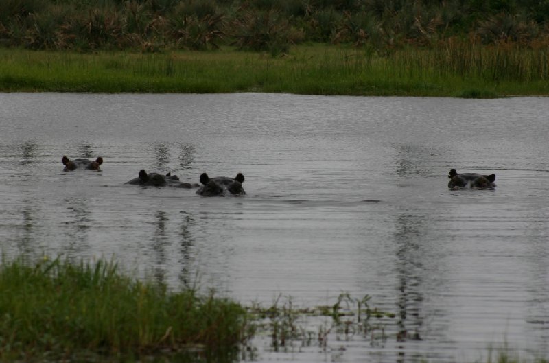 Photo Chobe National Park Botswana safari