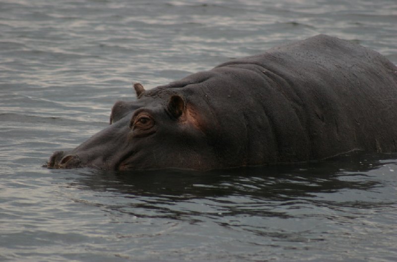 Kasane Botswana 