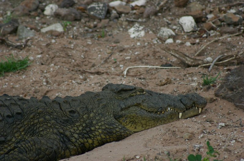 Kasane Botswana 