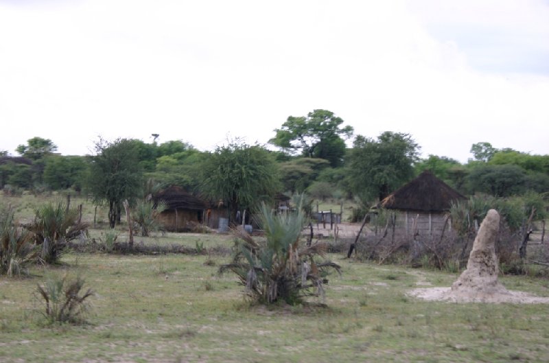 Chobe National Park Botswana Kasane Review Gallery