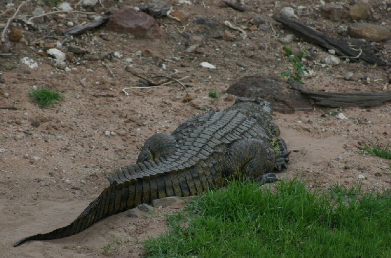   Kasane Botswana Holiday Photos