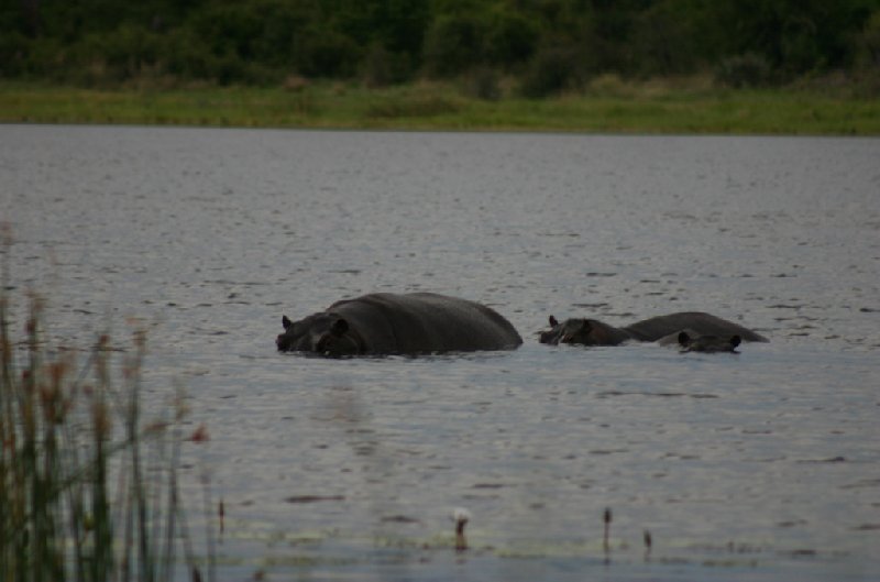 Kasane Botswana 