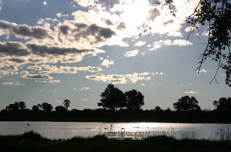 Chobe National Park Botswana Kasane Travel Sharing