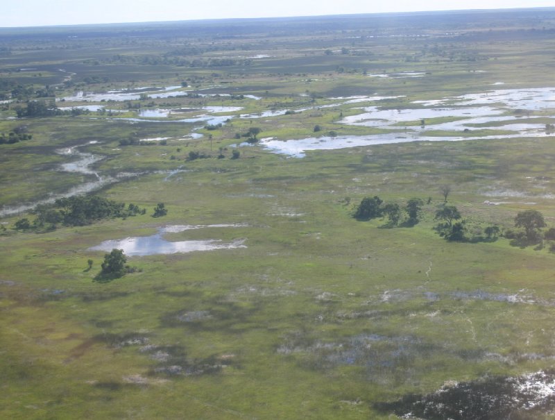 Photo Okavango Delta safari tour safari