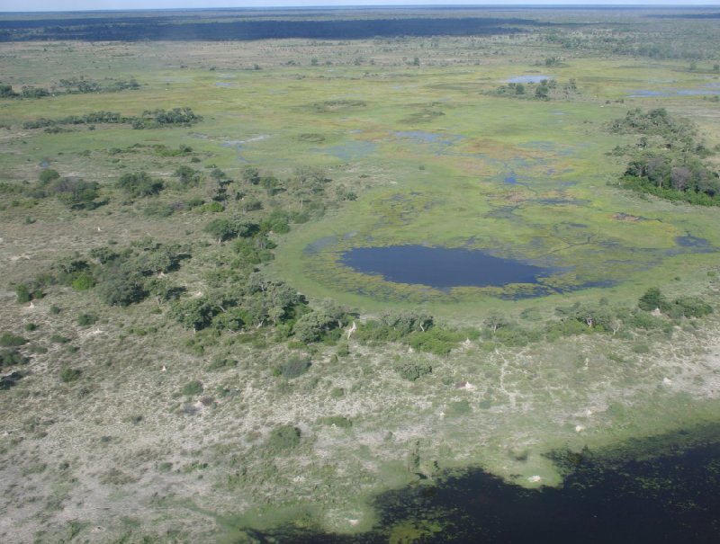 Okavango Delta safari tour Maun Botswana Travel Package