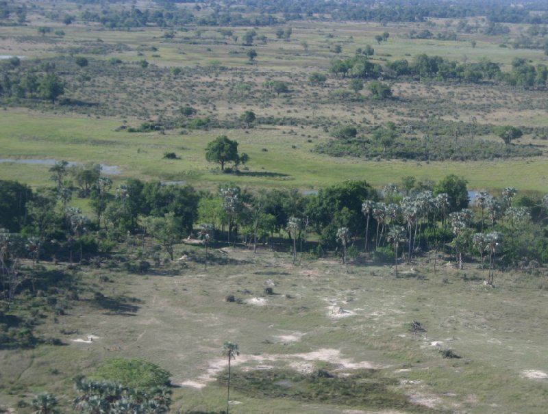 Okavango Delta safari tour Maun Botswana Album Photos