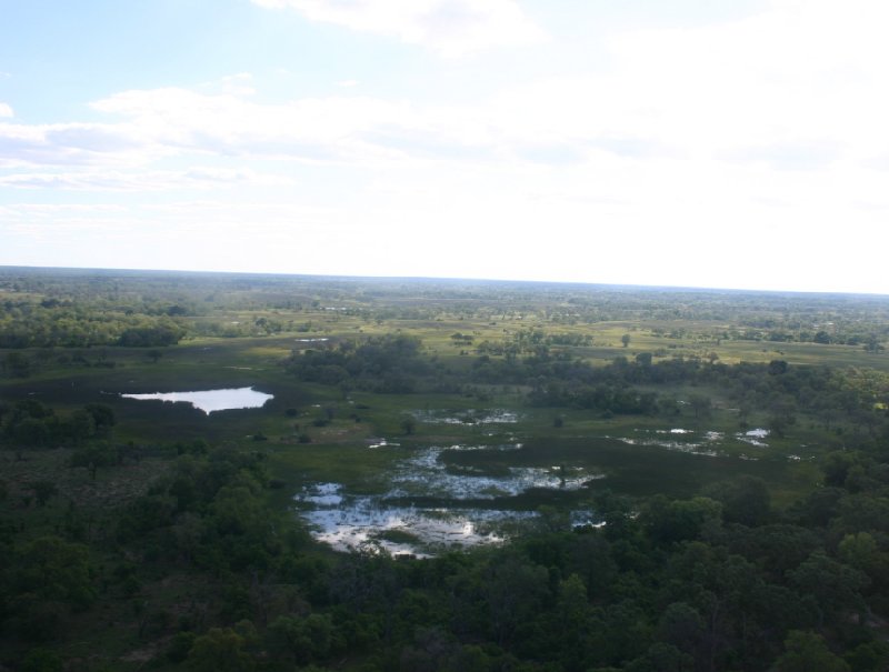 Okavango Delta safari tour Maun Botswana Blog Information