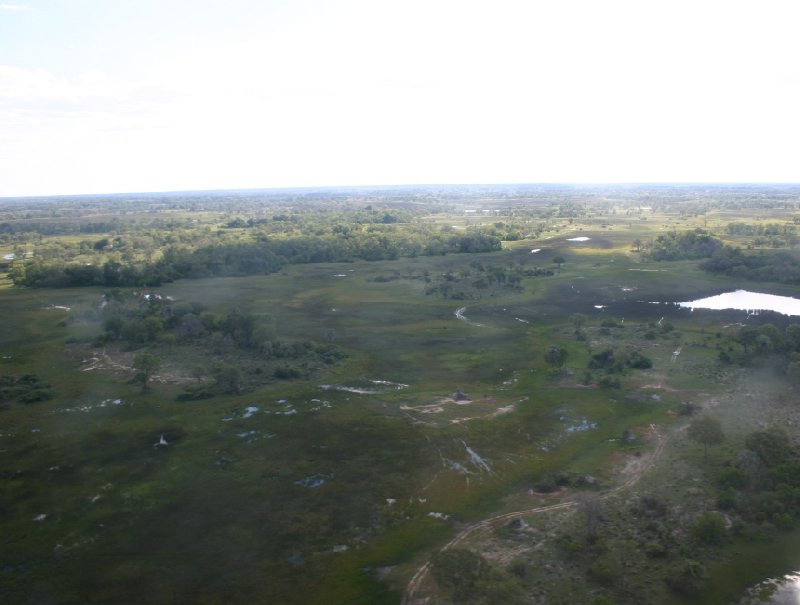 Okavango Delta safari tour Maun Botswana Diary Experience