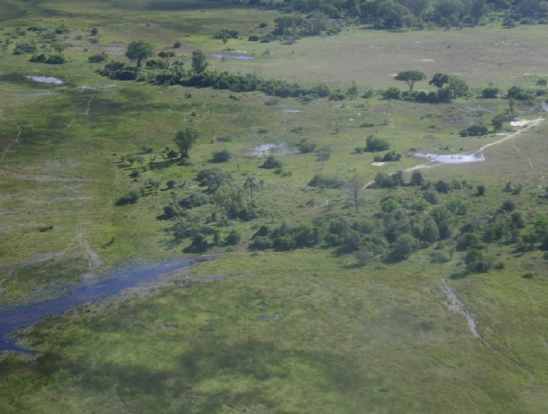 Okavango Delta safari tour Maun Botswana Vacation Information