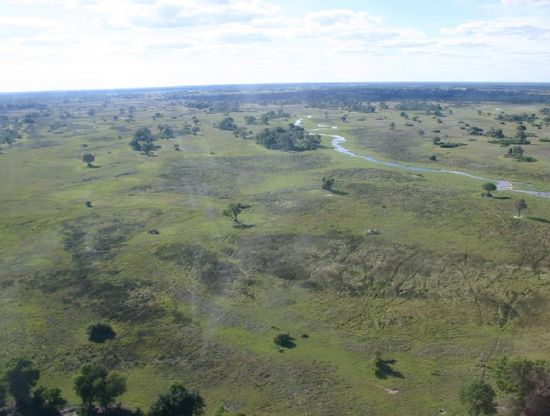 Okavango Delta safari tour Maun Botswana Travel Blogs